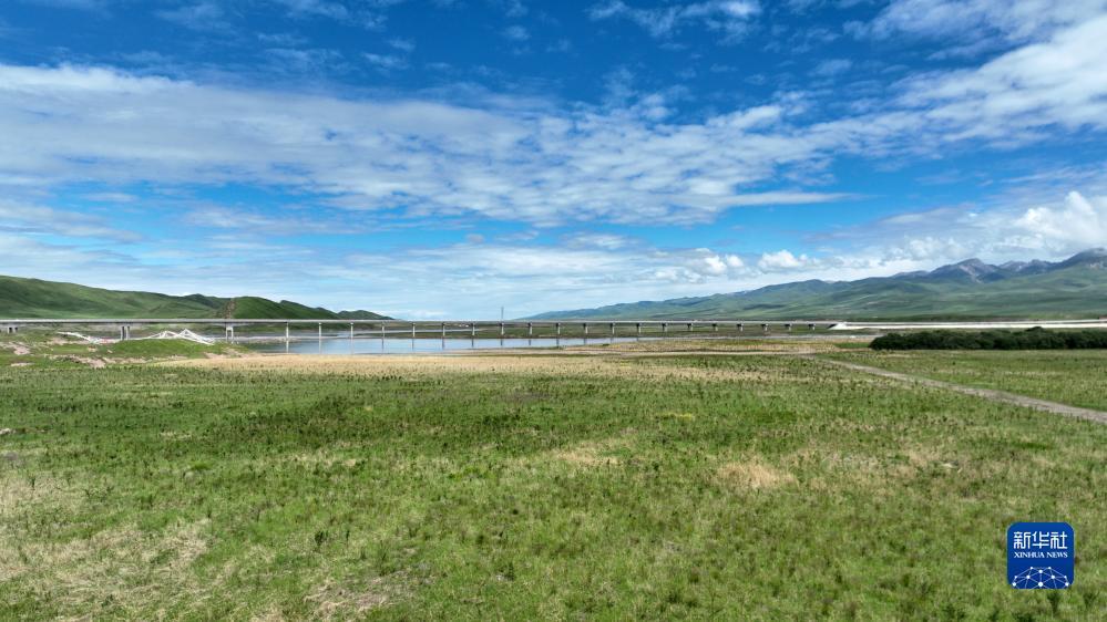 永利集团手机在线登录